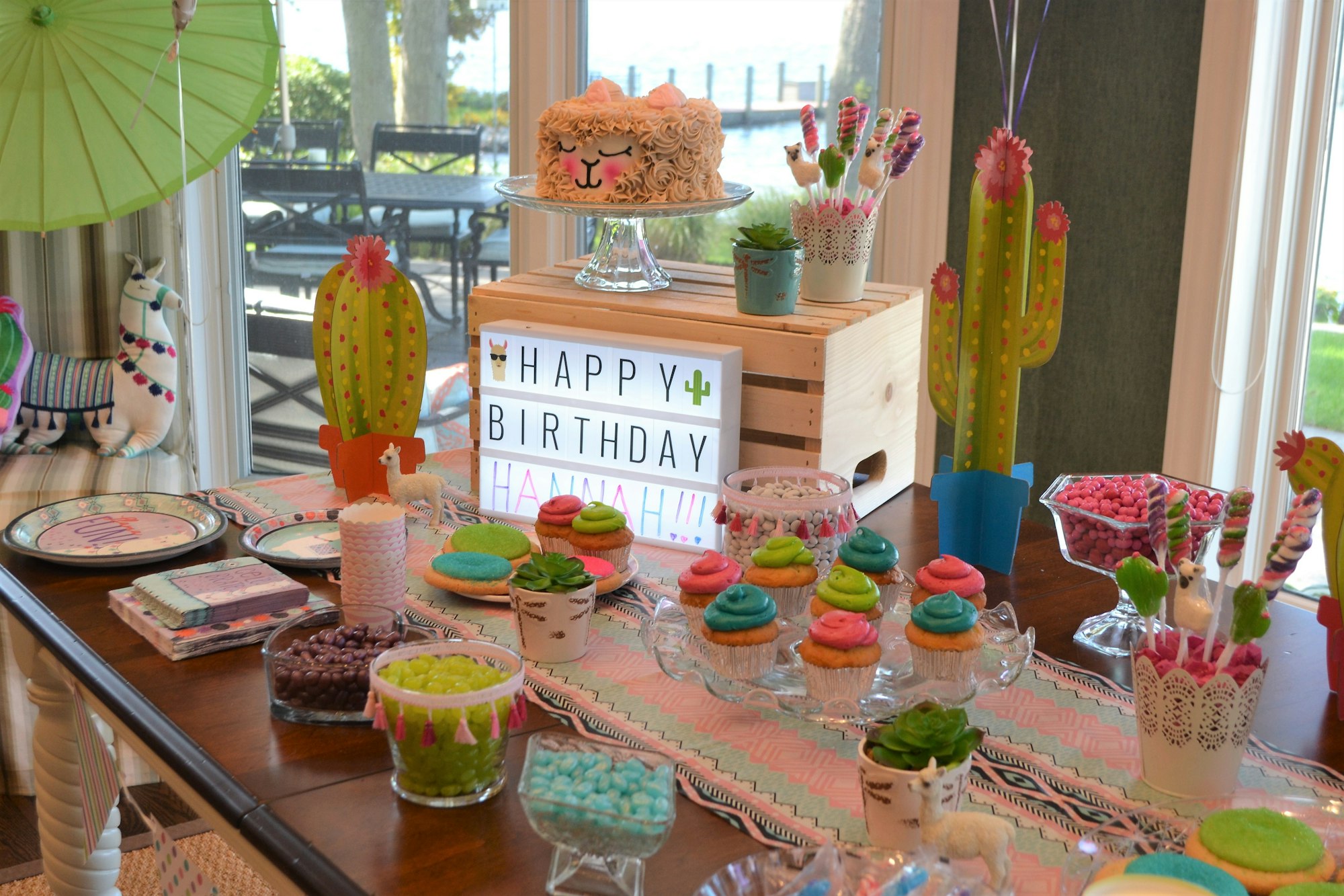 Themed birthday party